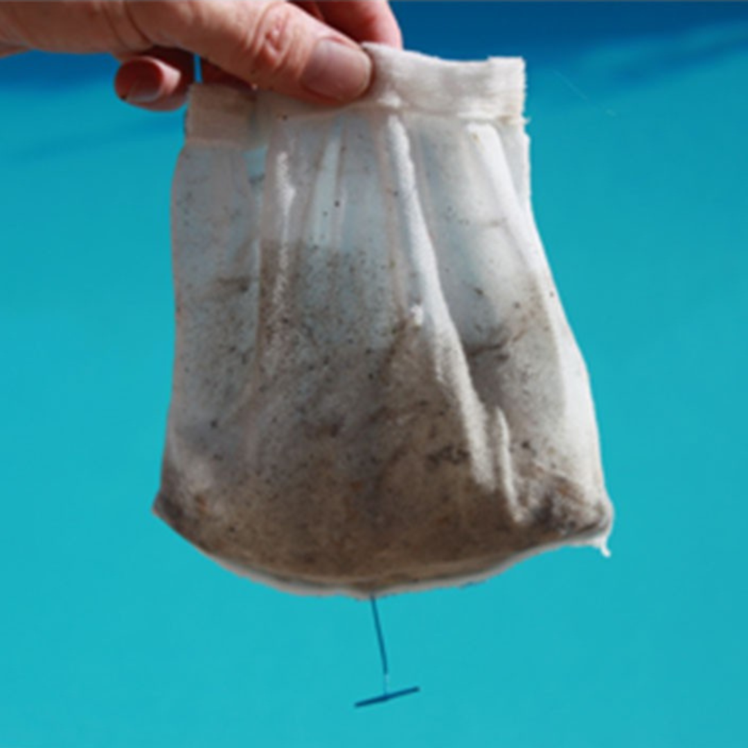 Prefiltro igienico per Skimmer “usa e getta” - Net' Skim