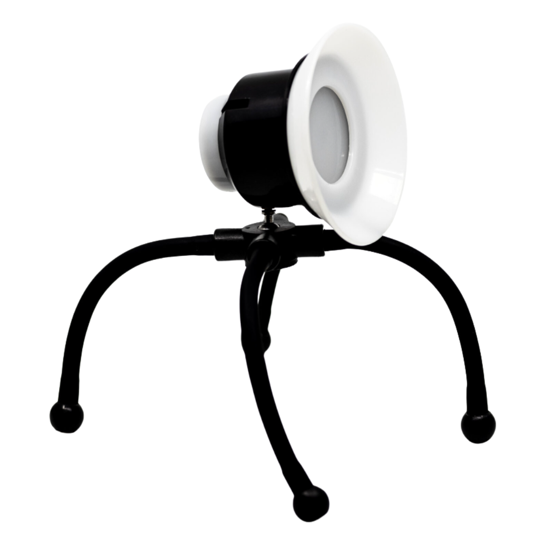 Lampada nomade Toons