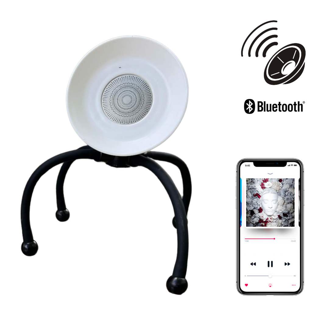 Cassa Bluetooth Boom Boom