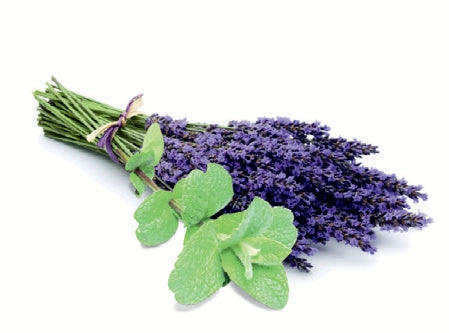 Essenze profumate per Aromaterapia in Acqua 5L