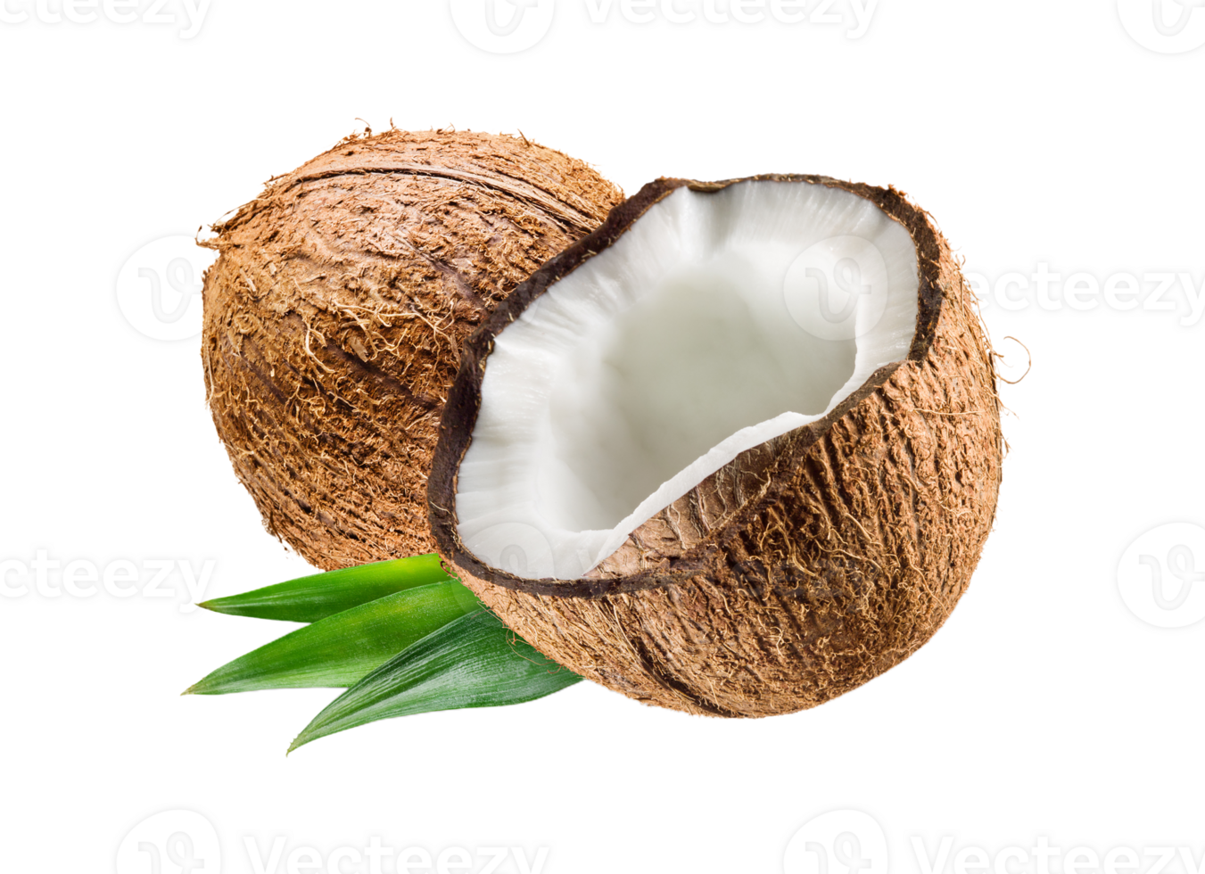 Essenze profumate per Aromaterapia in Acqua 5L