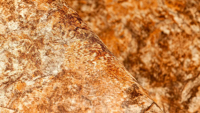 Rivestimento PVC Renolit Alkorplan Touch