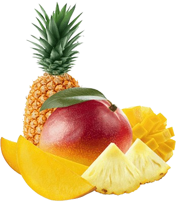 Essenze profumate per Aromaterapia in Acqua 5L