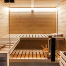 Sauna Ibrida Family