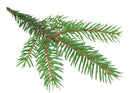 Essenze profumate per Cabine a Vapore 5L