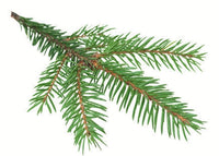 Essenze profumate per Cabine a Vapore 5L
